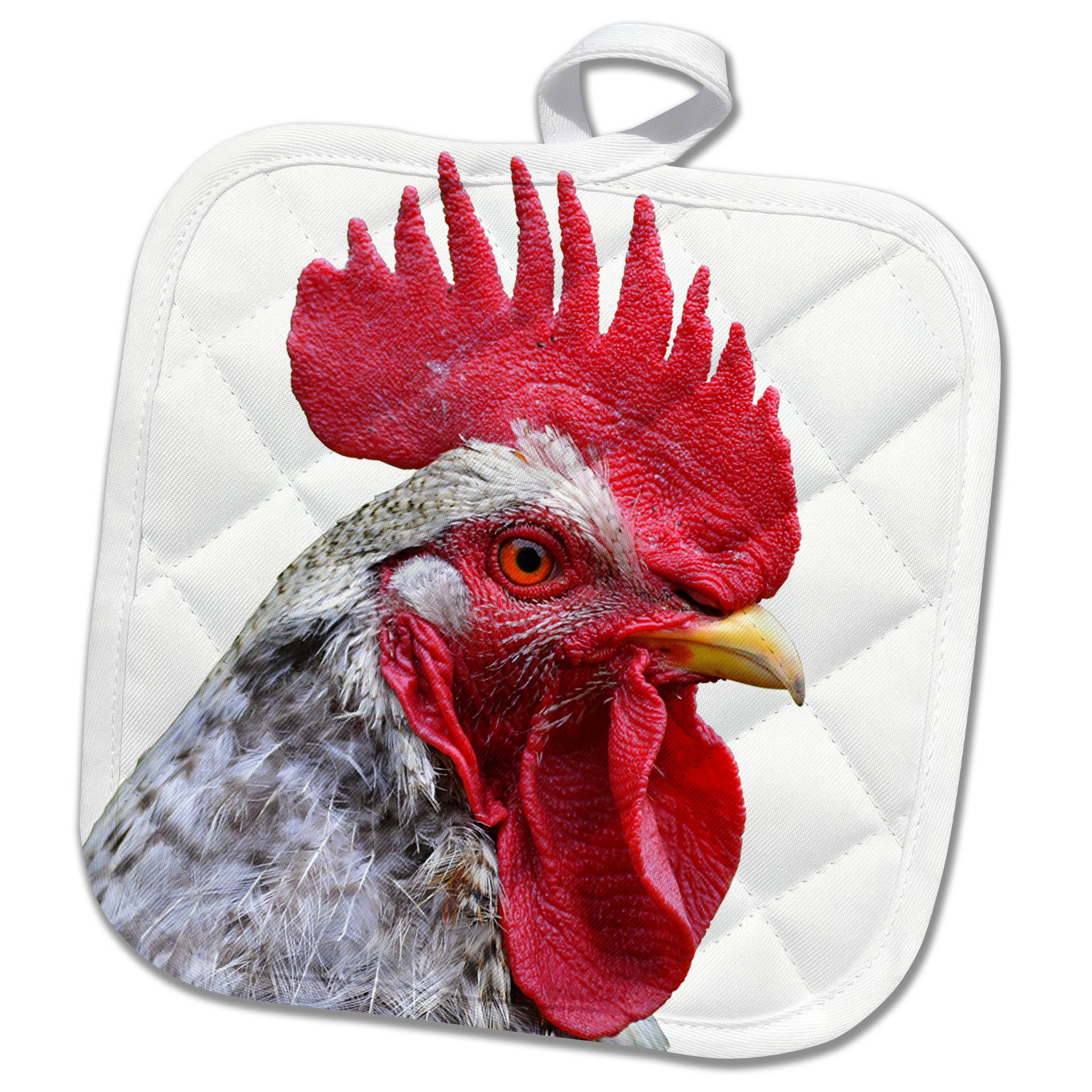3dRose Portrait of Chicken, Animal Potholder, 8 x 8