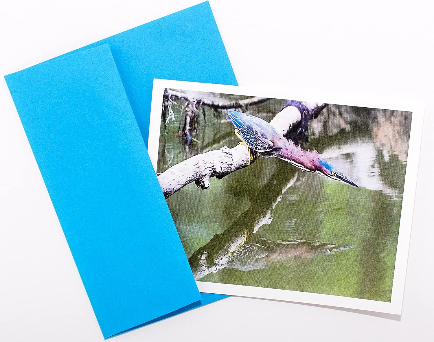 Bird Photography Smooth Note Cards 16 w/18 Colored Envelopes, Boxed Set (4.25"x 5.50") Blank Inside - Made in USA