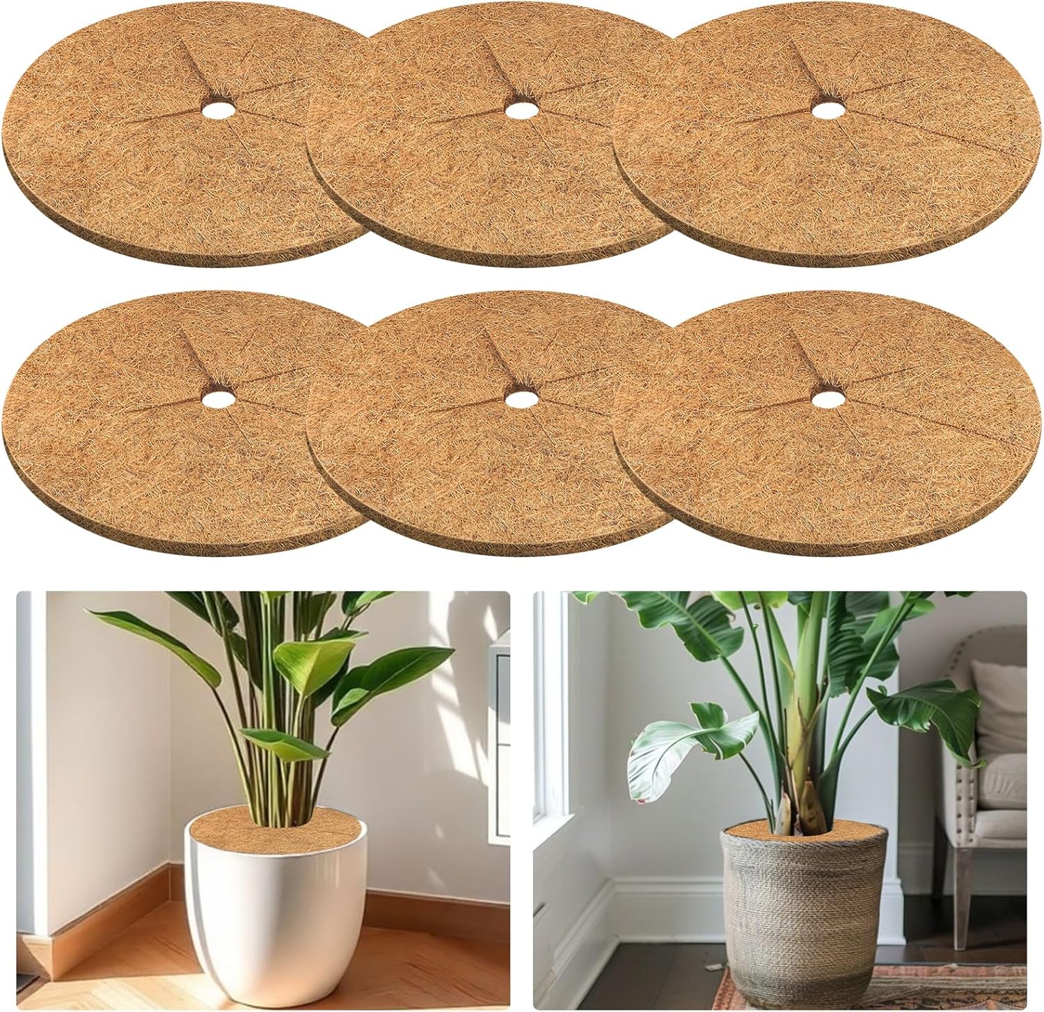Amazon.com : Legigo 6pcs Coconut Fiber Mulch Ring Tree Plant Protector ...