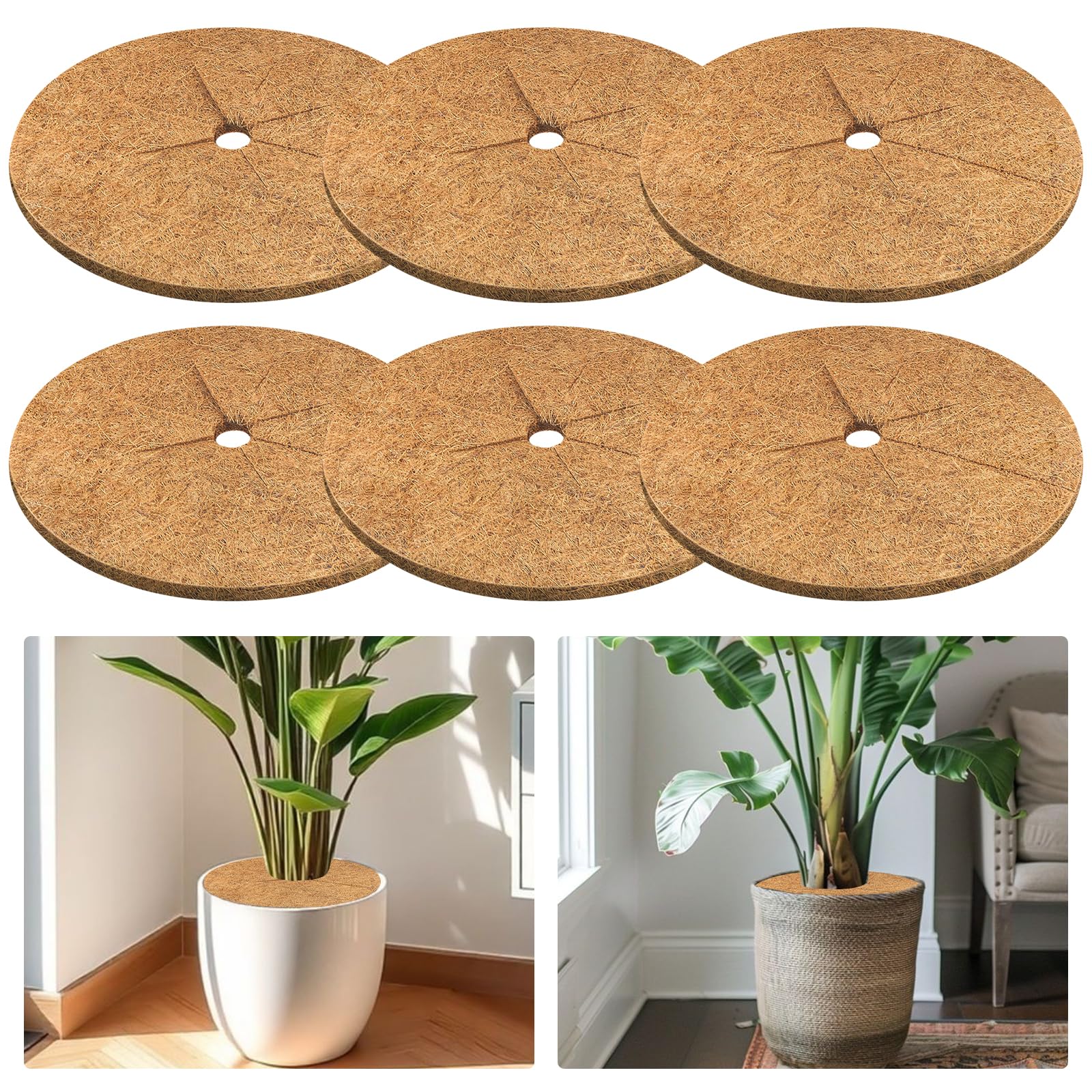 Legigo 6pcs Coconut Fiber Mulch Ring Tree Plant Protector Mat, 18 Inch Natural Coco Coir Tree Protection Ring Plant Pot Soil Cover, Tree Rings Disc Plant Cover for Indoor Outdoor Plants,Landscaping-image-23