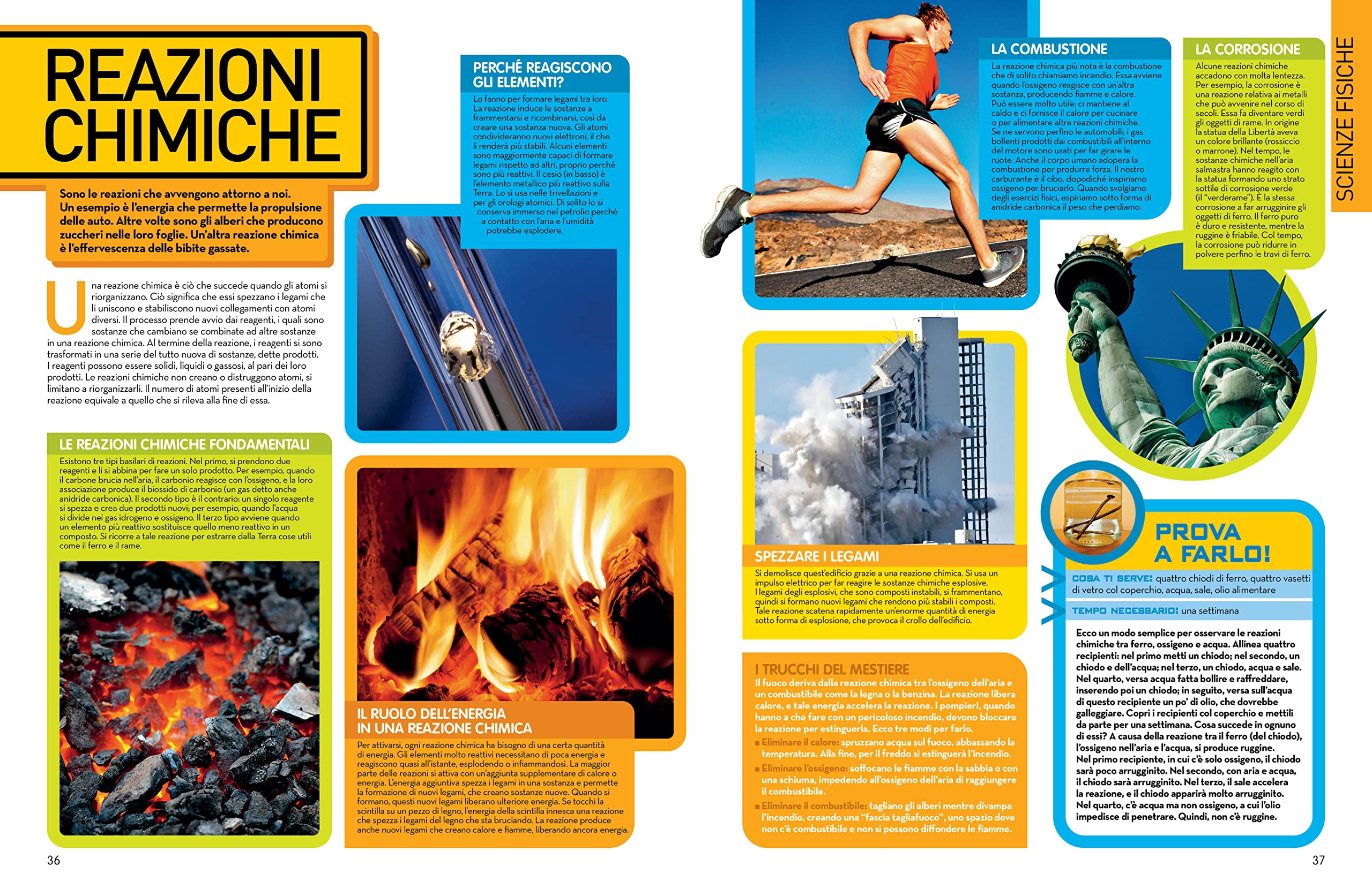 LibroScienza - Enciclopedia della Scienza per Tutte le Età | Atomi e Particelle | Chimica Alimentare | Animali | Esplorazione Spaziale - Edizione Illustrata