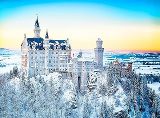 Pintoo Jigsaw Puzzles 300 Piece for Adults - A Snowy Day at Neuschwanstein Castle - Easy Storage Snug Interlocking Plastic Puzzle No Glue Required [H2339]