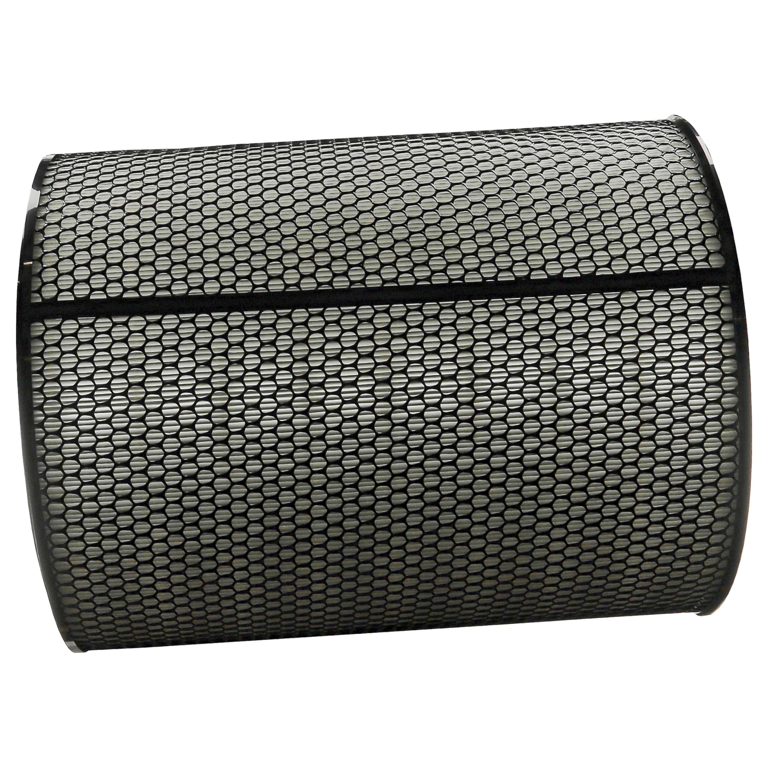 vhbw Filtro H13 compatible con Dyson HEPA Big+Quiet Formaldehyde BP06