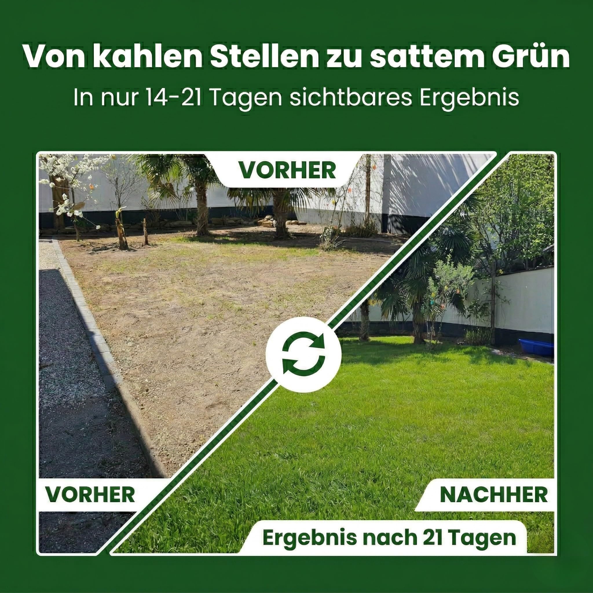 LERAVA® EXPRESS Rasensamen schnellkeimend Frühjahr (30m²) | Grassamen Trockenrasen & Schattenrasen Samen | Sport und Spielrasen Nachsaat | Rasensaat turbo Rasennachsaat schnellkeimend