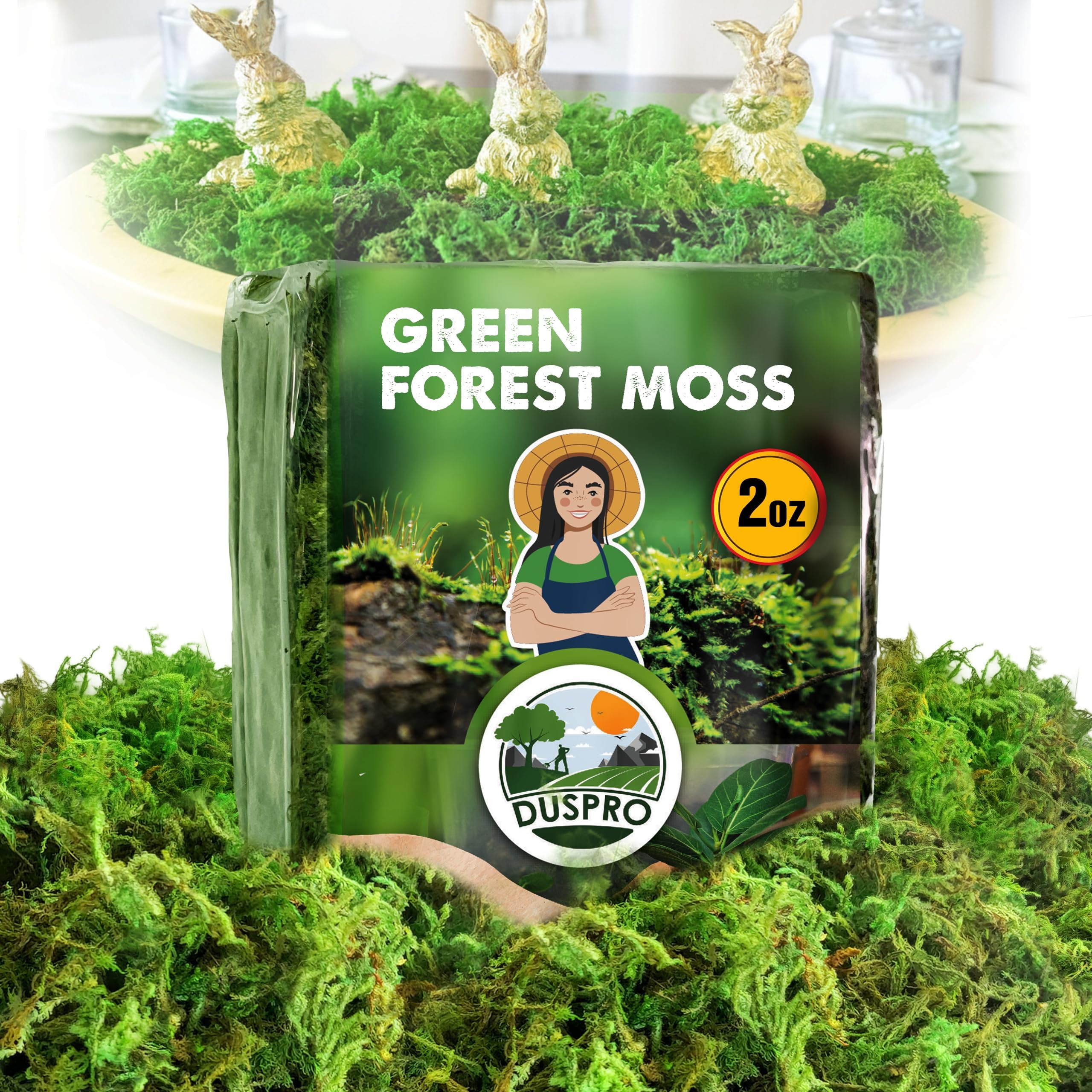 [Upgraded] DUSPRO Green Moss for Crafts, Real Forest Moss Potted Plants, Decorative Mosses for Table Centerpieces Wedding, Easter Day Decoration, Indoor Planters, DIY Project (2 Oz)