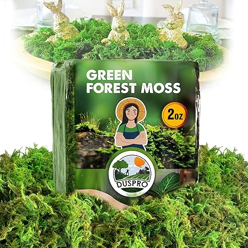 Miniatura 11 de DUSPRO Musgo Verde Mejorado para Manualidades, Musgo Real de Bosque en Plantas en Maceta, Musgos Decorativos para Centros de Mesa de Boda, Navidad