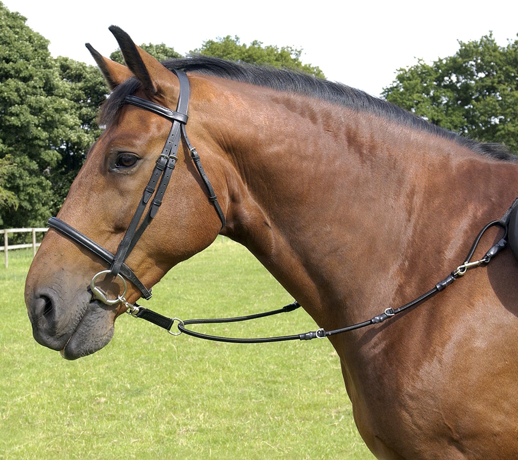Libbys Lungie Bungie Cob /Full