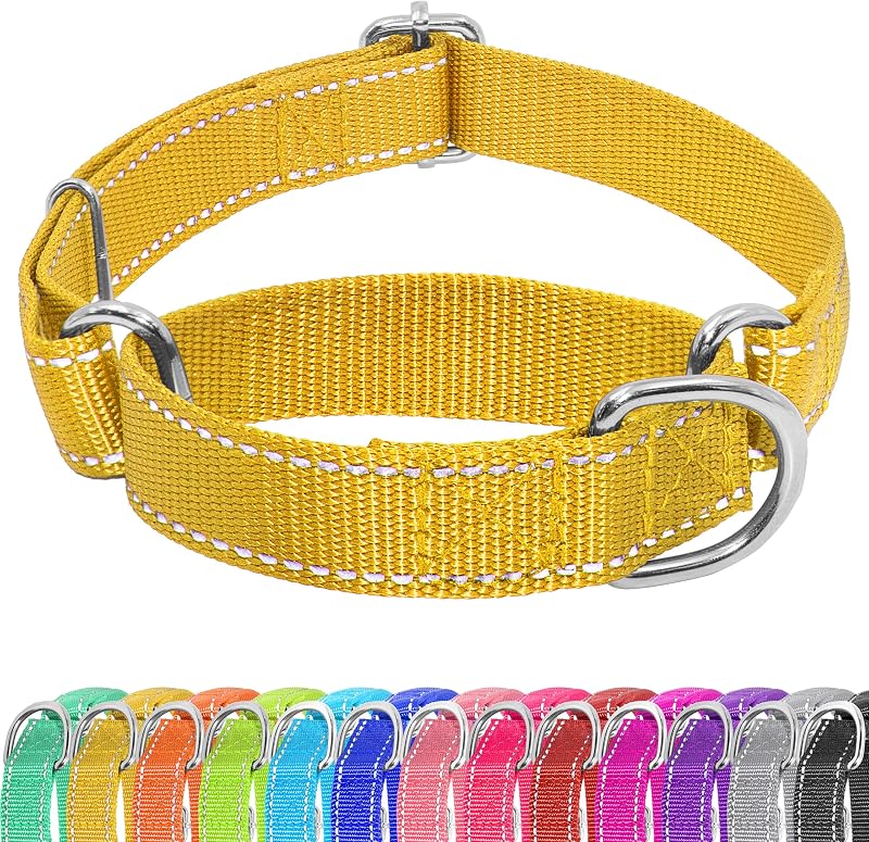 Coleira Martingale Ajustável para Cães Seyezo em Nylon com Fios Refletivos, Tamanho Grande (18–26 polegadas) — Amarela