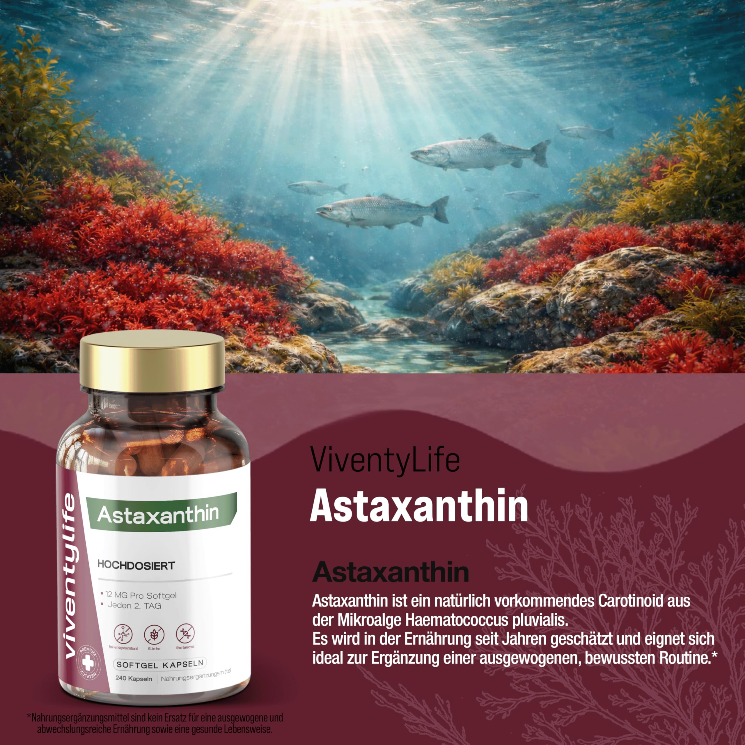 Astaxanthin Hochdosiert 12mg pro Softgel Kapseln, 16 Monate Vorrat, Premium Astaxanthin aus der Blutregenalge (Haematococcus pluvialis) - 240 Kapseln