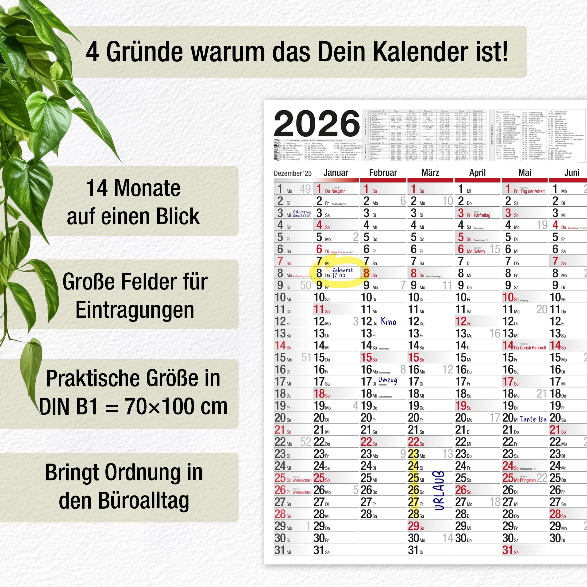 Abwischbarer XXL Wandkalender 2026 Grün – DIN B0 (140x100 cm