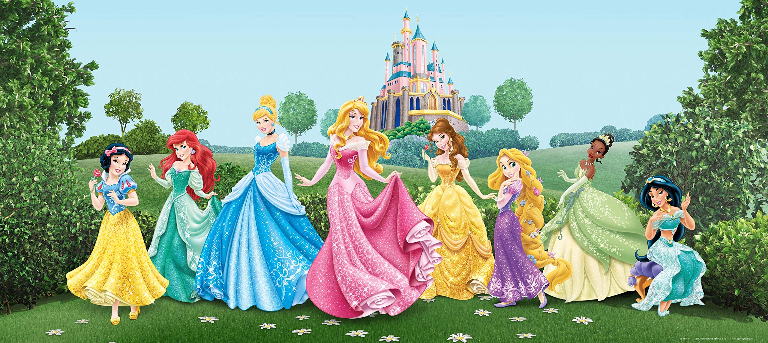 Disney AG Design 1 Part Non-Woven Kids Princess Giant Wall Poster, FTDNH 5325, Multi-Colour, 202 x 90 cm