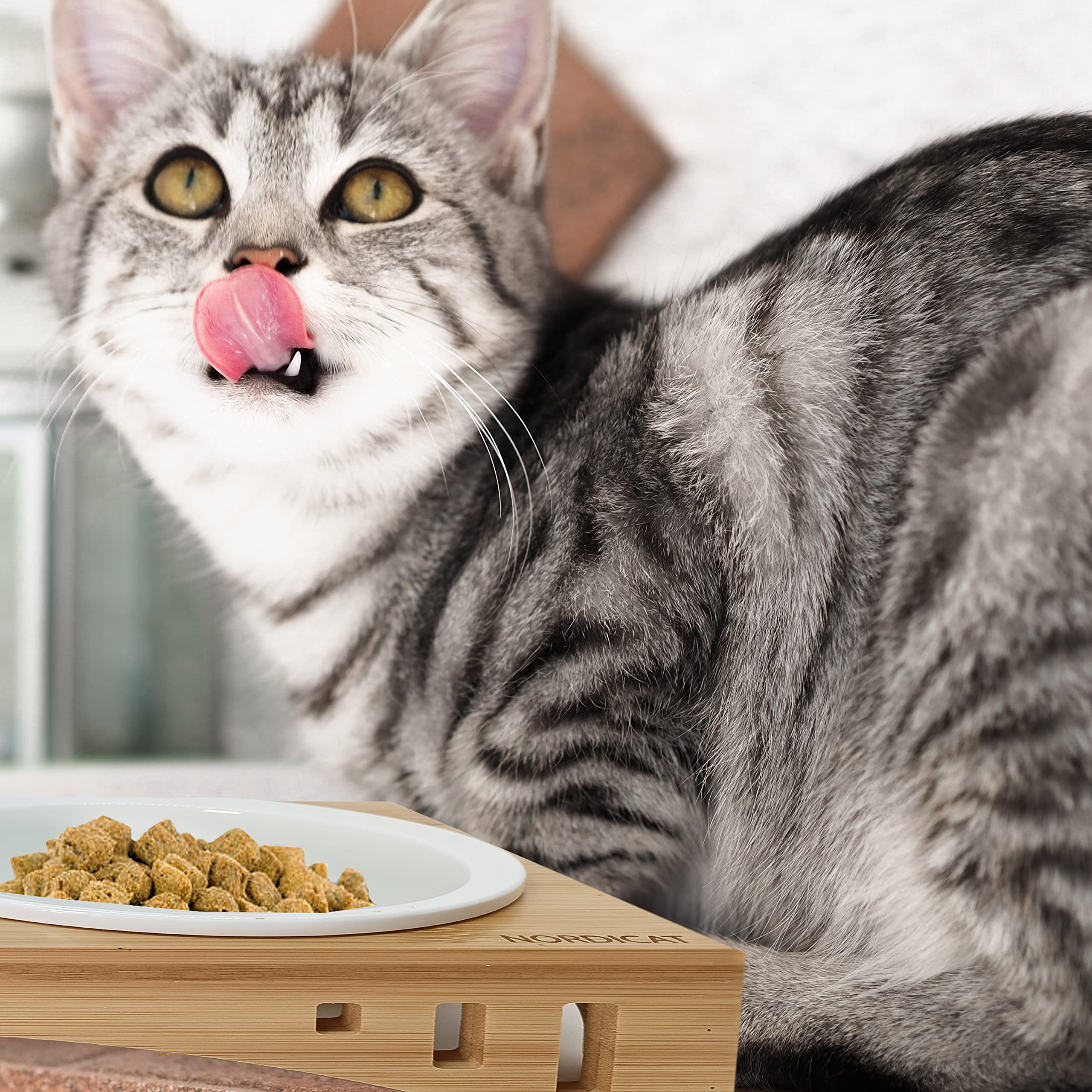 NORDICAT Comedero y Bebedero Gato con Soporte Elevado, Doble Cuenco Ceramica y Bambu Extraible Antideslizante, Accesorios en Madera Nordicat Ideal para Gatos o Perros Pequeños