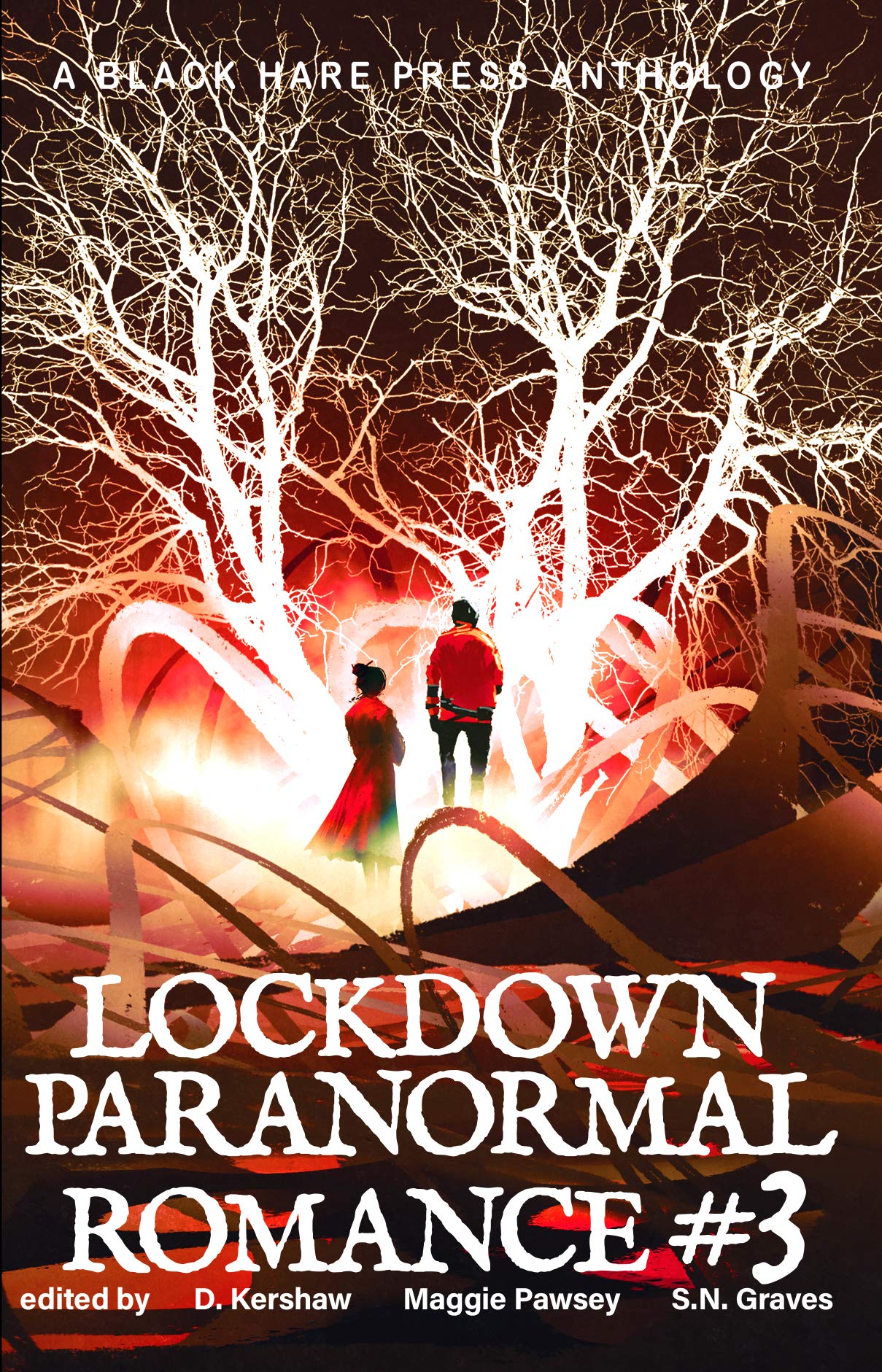 Cover of Lockdown Paranormal Romance #3