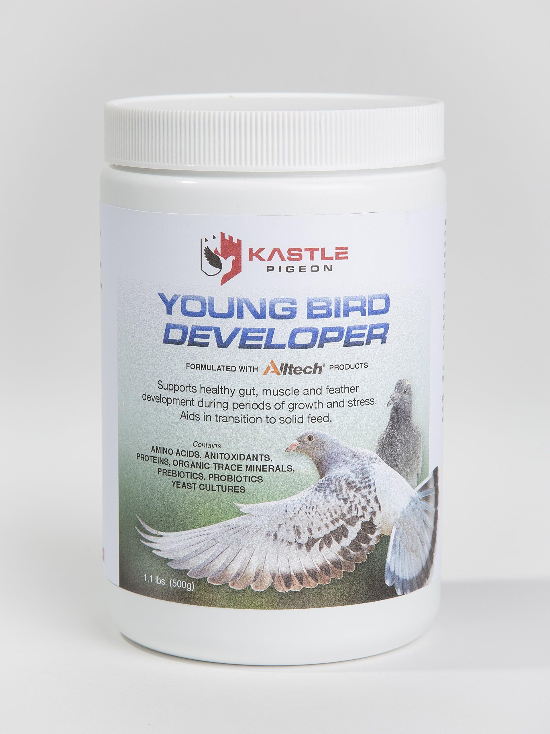 Young Bird Developer Plus Pigeon Probiotics, Antioxidants, Amino Acids, and Trace Minerals for Naturally Healthy Pigeons Without Medicine