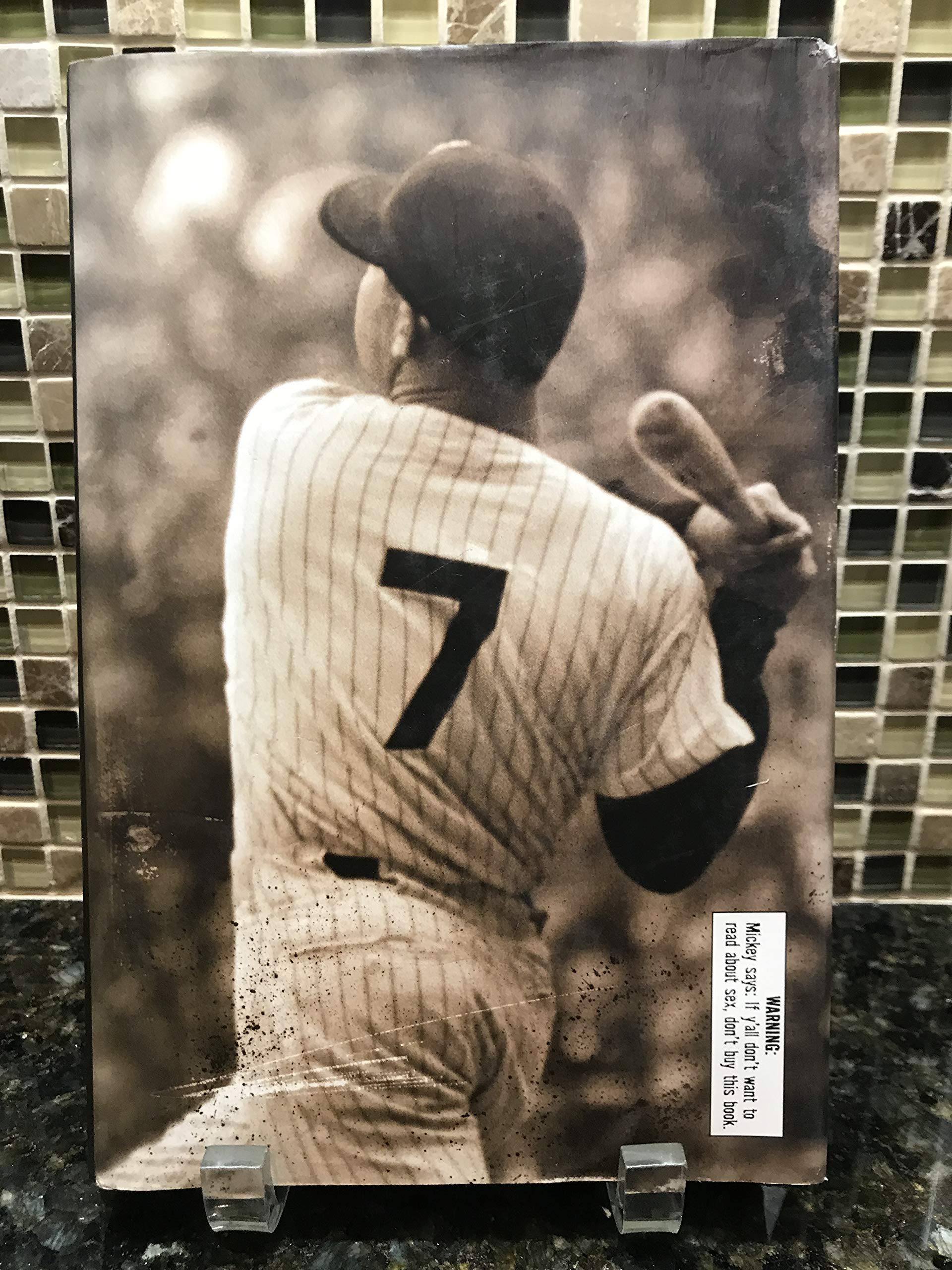 Buy 7: The Mickey Mantle Novel — BookShops.in