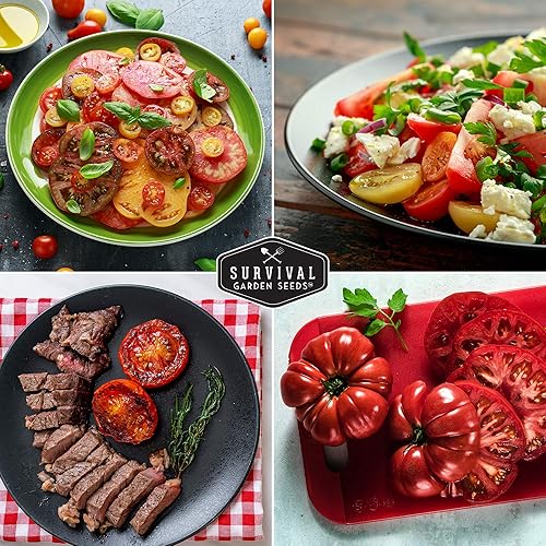Miniatura 5 de Survival Garden Seeds - Semillas de tomate Heirloom Rainbow Mix para plantar - Paquete con instrucciones para plantar y cultivar en tu huerto casero