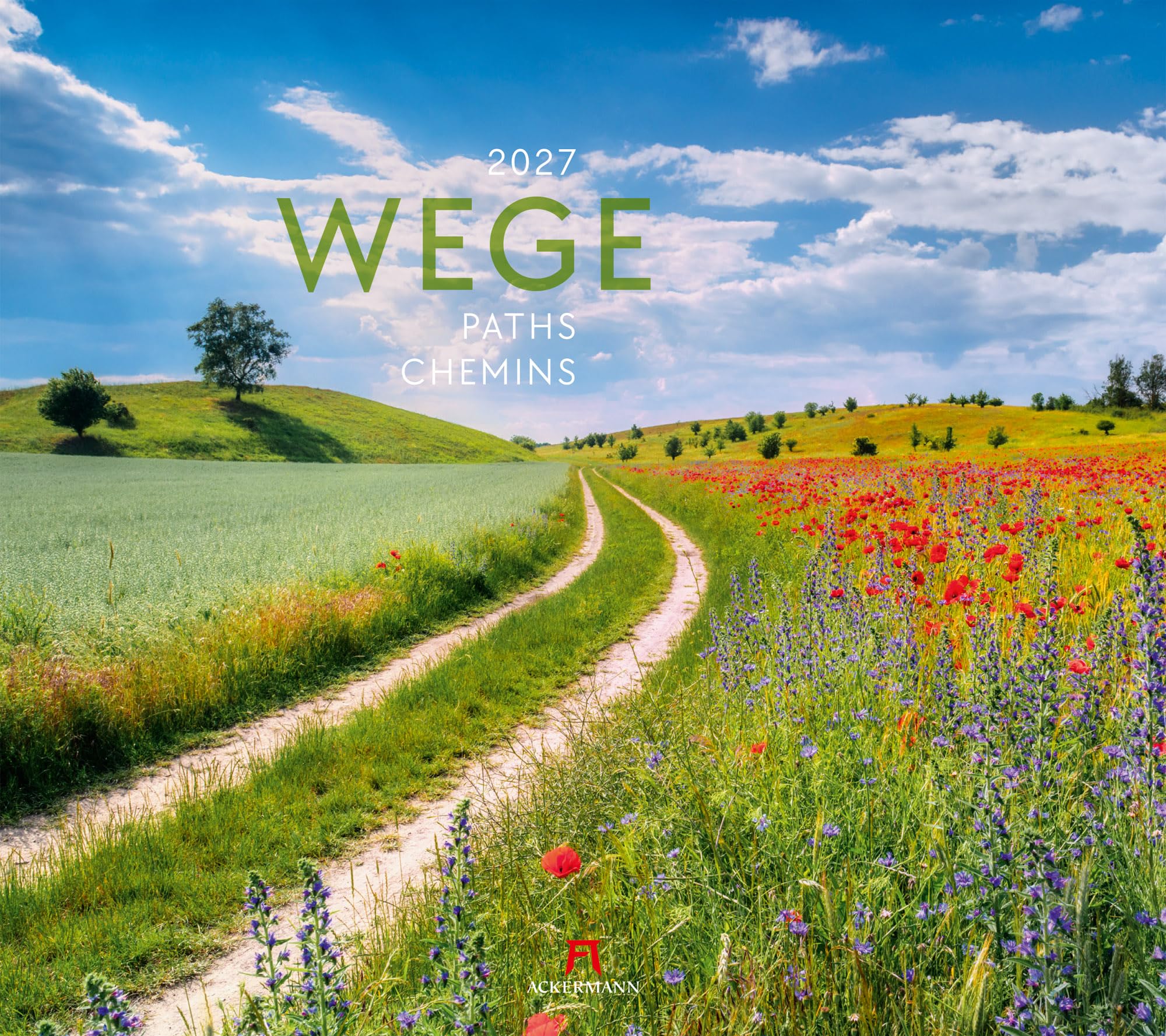 Wege Kalender 2027: Stilsicherer Landschaftskalender im großen Querformat (54x48 cm) | Traumhafte Pfade in der Natur