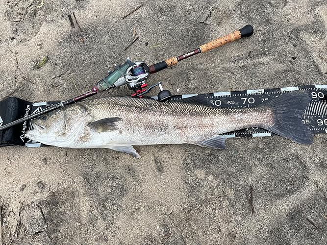 Amazon | Fishman(フィッシュマン) BRIST VENDAVAL 8.9M BV89M