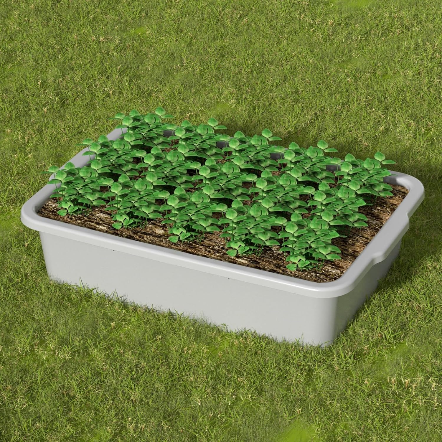 Light Gray Bus Tub, 35 L Plastic Commercial Bus Tubs, 4 Packs