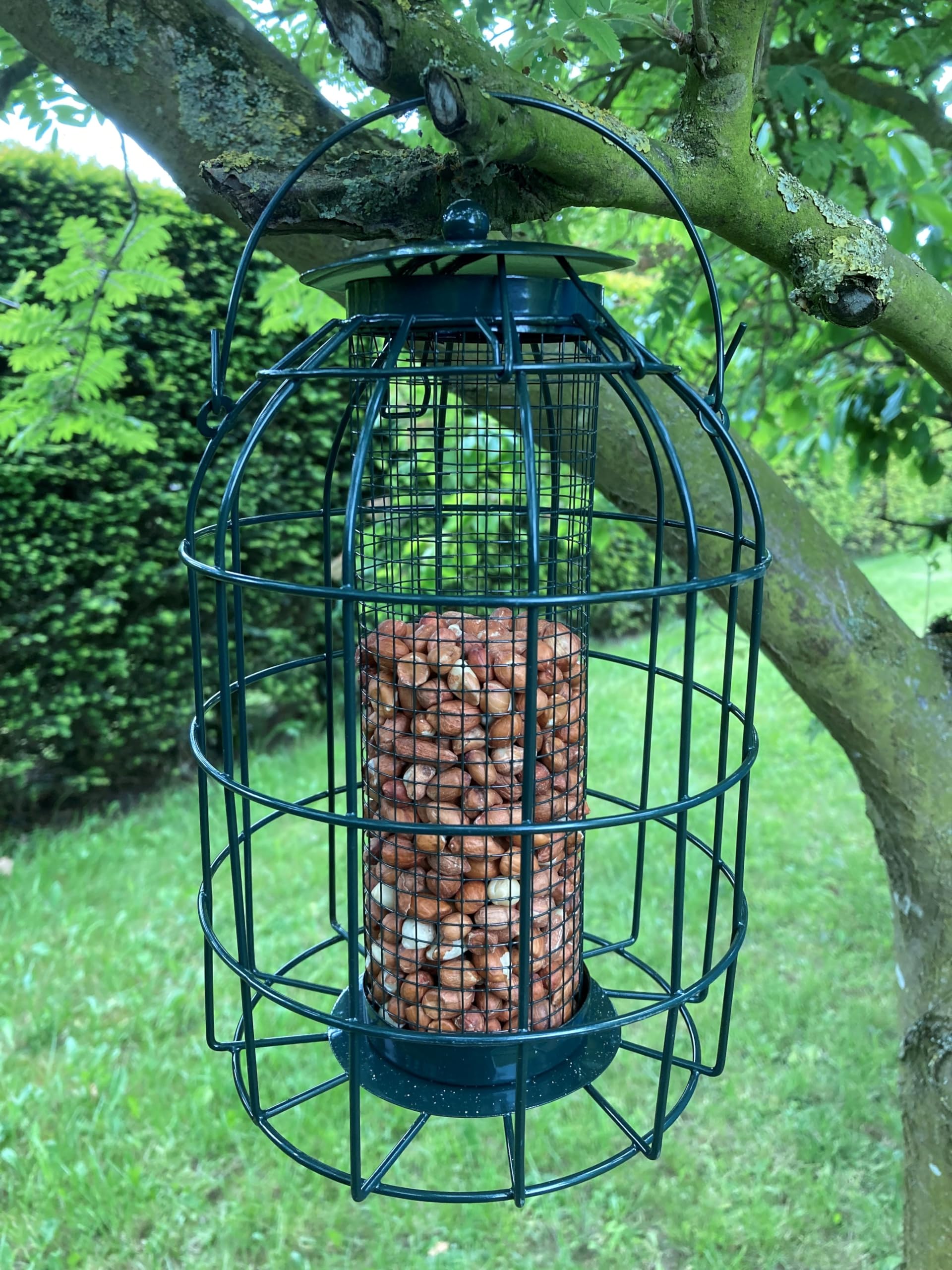 Oakdale Squirrel Resistant Peanut Bird Feeder, Multicolor - Image 3