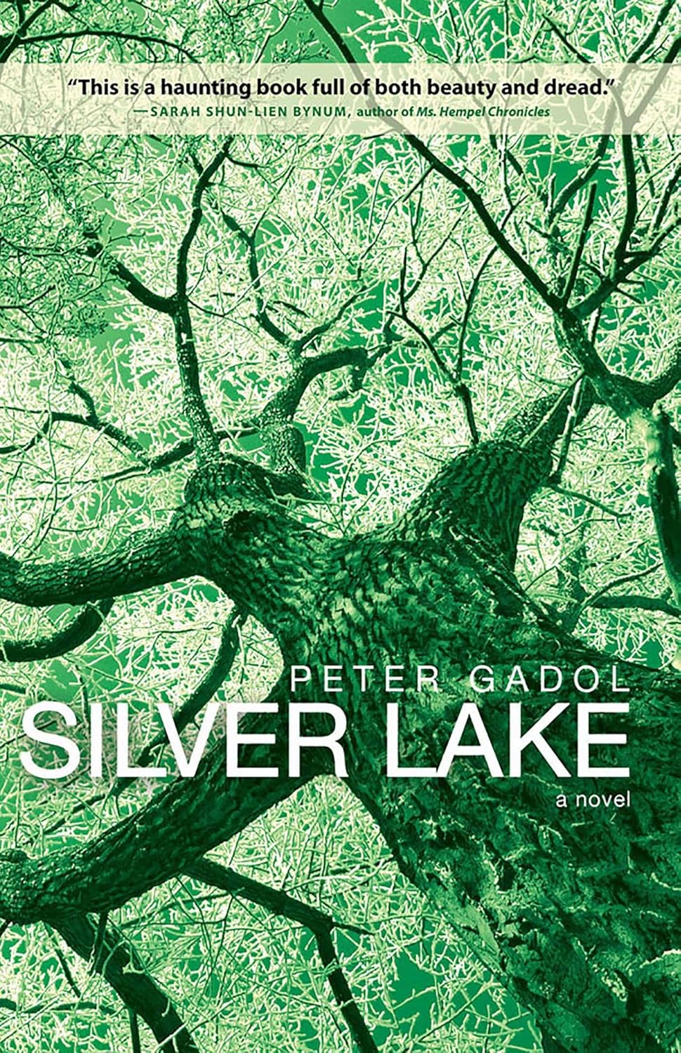 Silver Lake      Kindle Edition