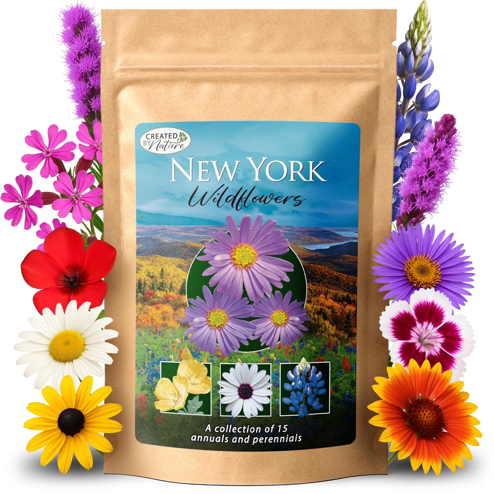 Created By Nature New York Wildflower Mix