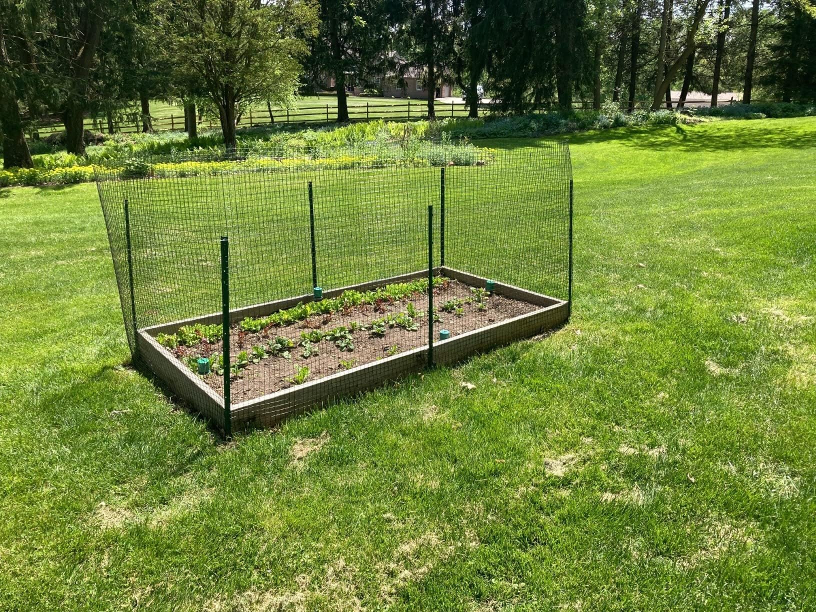 3 Fuß Metall Zaunpfosten Gartenzaun U Pfosten Grün 15 Stück für 61.0 cm hoch Garten geschweißt Drahtzaun U-K Stahl Gartenpfosten Schild Pfosten