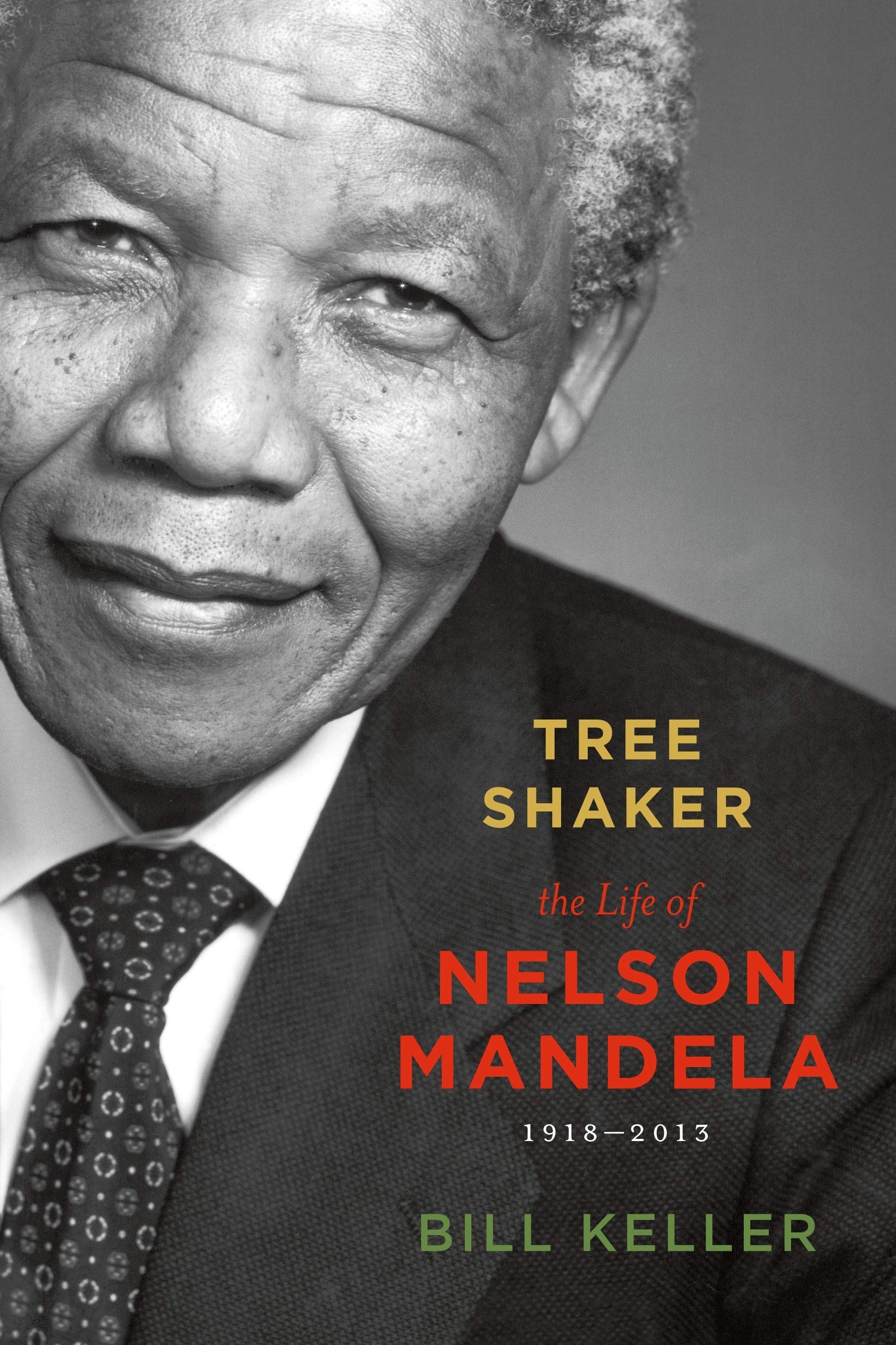 Square Fish Tree Shaker: The Life of Nelson Mandela