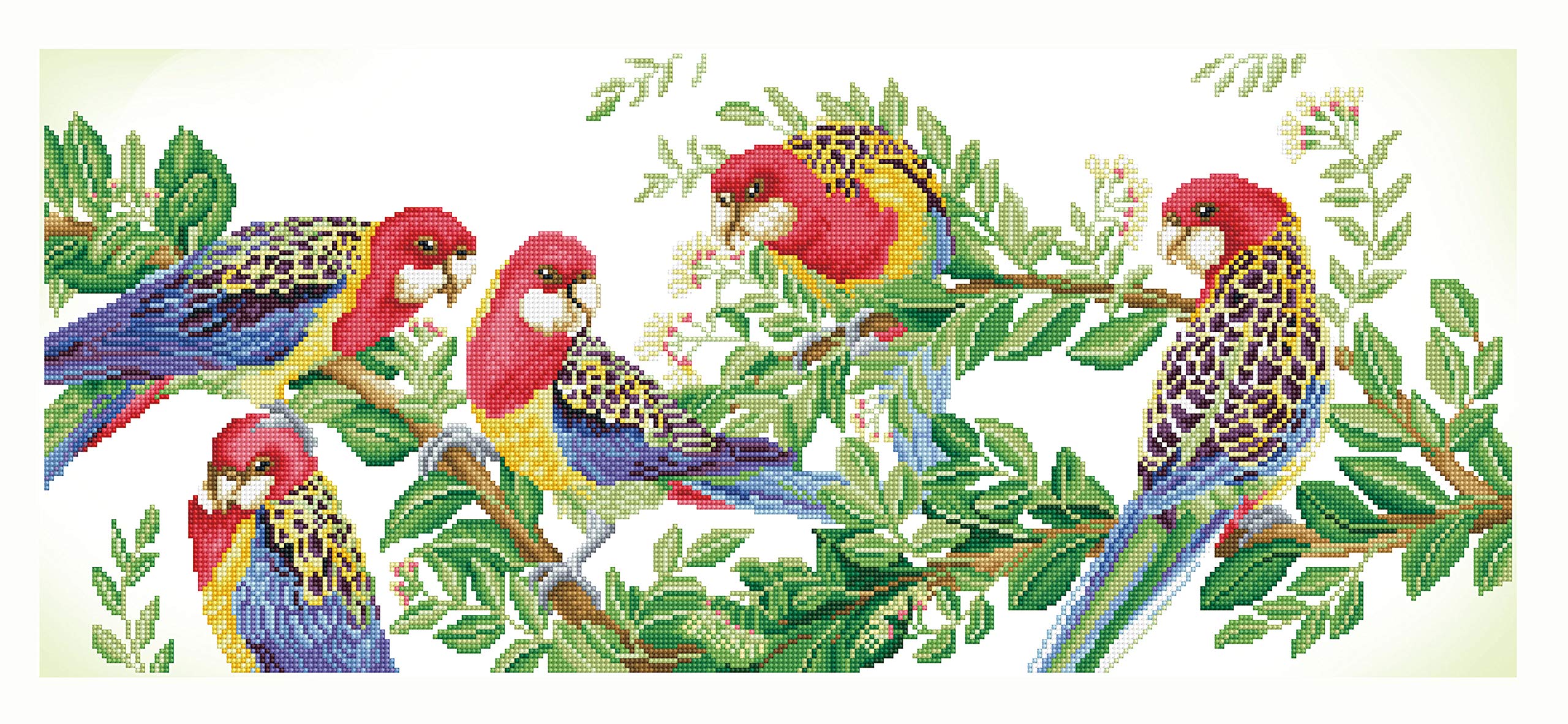 DIAMOND DOTZKit Advanced Eastern RosellaGathering