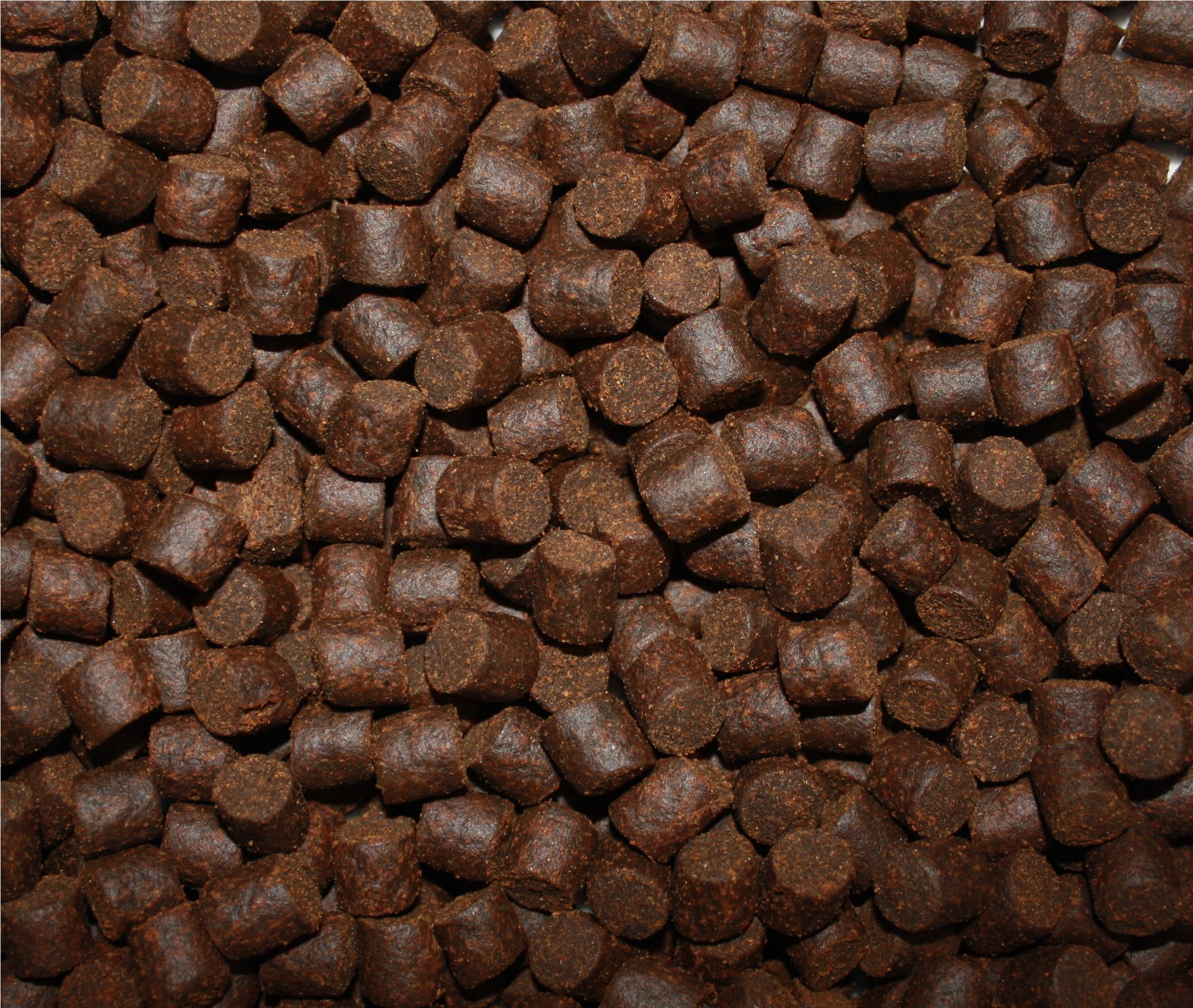 Tomodachi Störfutter groß, Energiefutter Stör perfekt für die ganzjährige Störfütterung, Störsinkfutter hochverdaulich, arktische Rohstoffe, geringe Wasserbelastung, Premium Stör Kraftfutter 8mm 15kg
