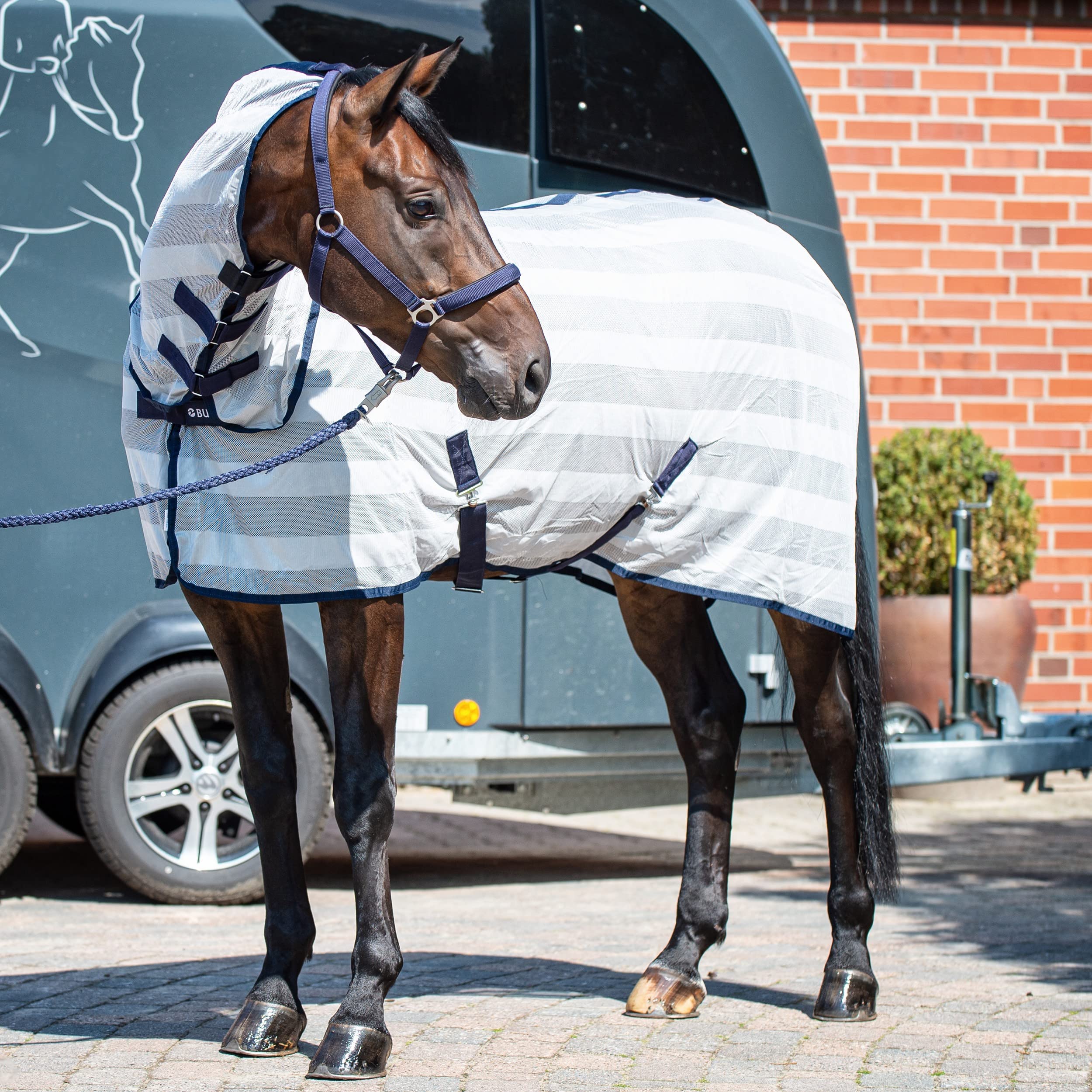 Busse Transport-Fliegendecke Stripe Plus