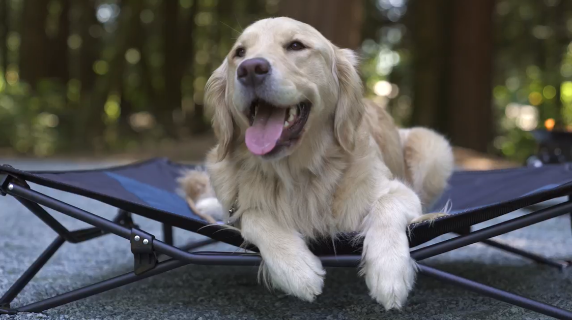 Outland Living Elevated Dog Bed – Durable, Weather-Resistant Pet