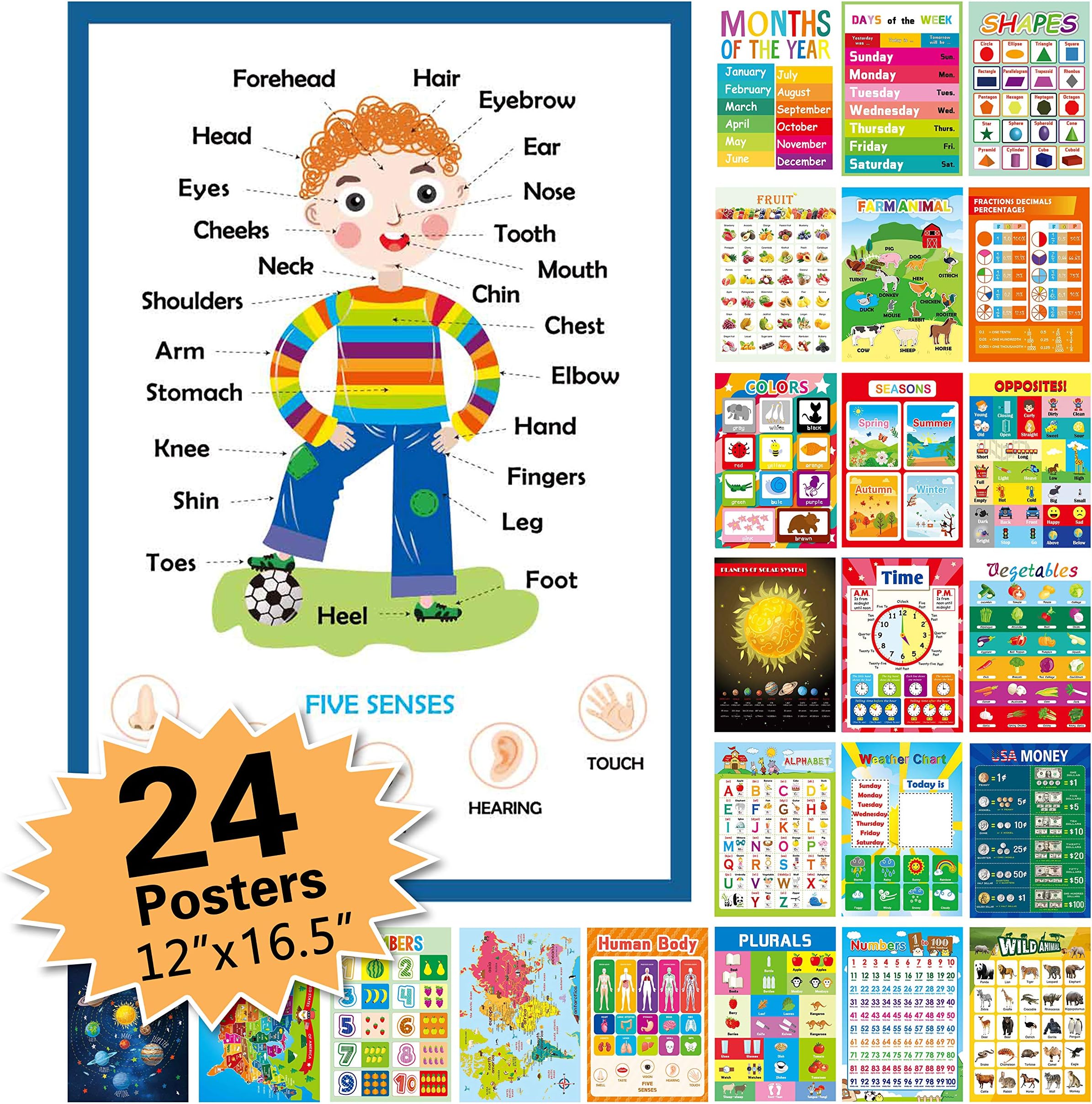 Topbooc 24 Pack Educational Posters for Preschool,Classroom Decorations and Decor Earply Learning Chart for Nursery Homeschool Kindergarten Classroom (12”X16.5“)