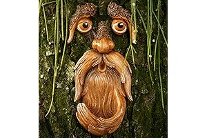 Tree Faces Outdoor: Enhance Your Garden with Personified Trees