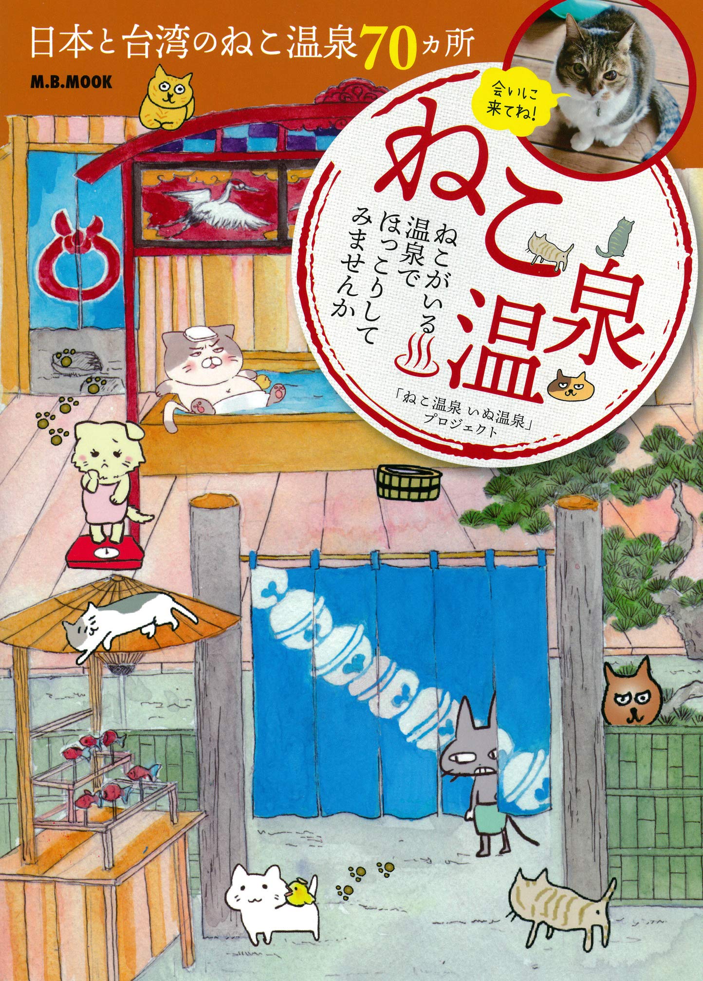 ねこ温泉商品 91d-o2IhzDL.jpg