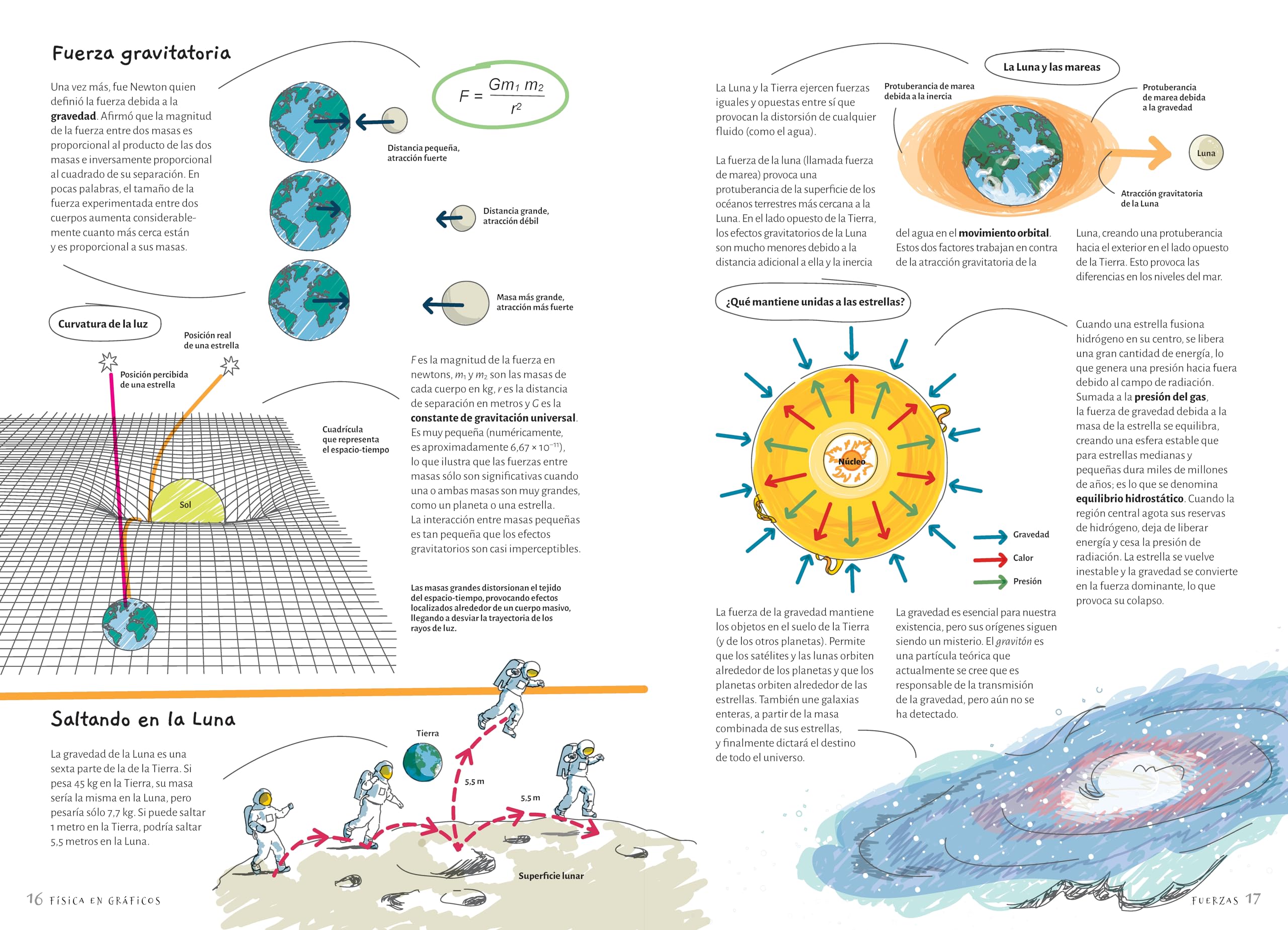 Fisica en graficos: Una guía visual para estudiantes y aficionados: 20 (CIENCIAS)