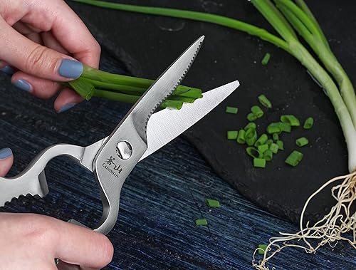 Miniatura 7 de Cangshan 1021233 D forma forjó el acabado satinado de las tijeras del acero inoxidable, longitud total de 9 pulgadas