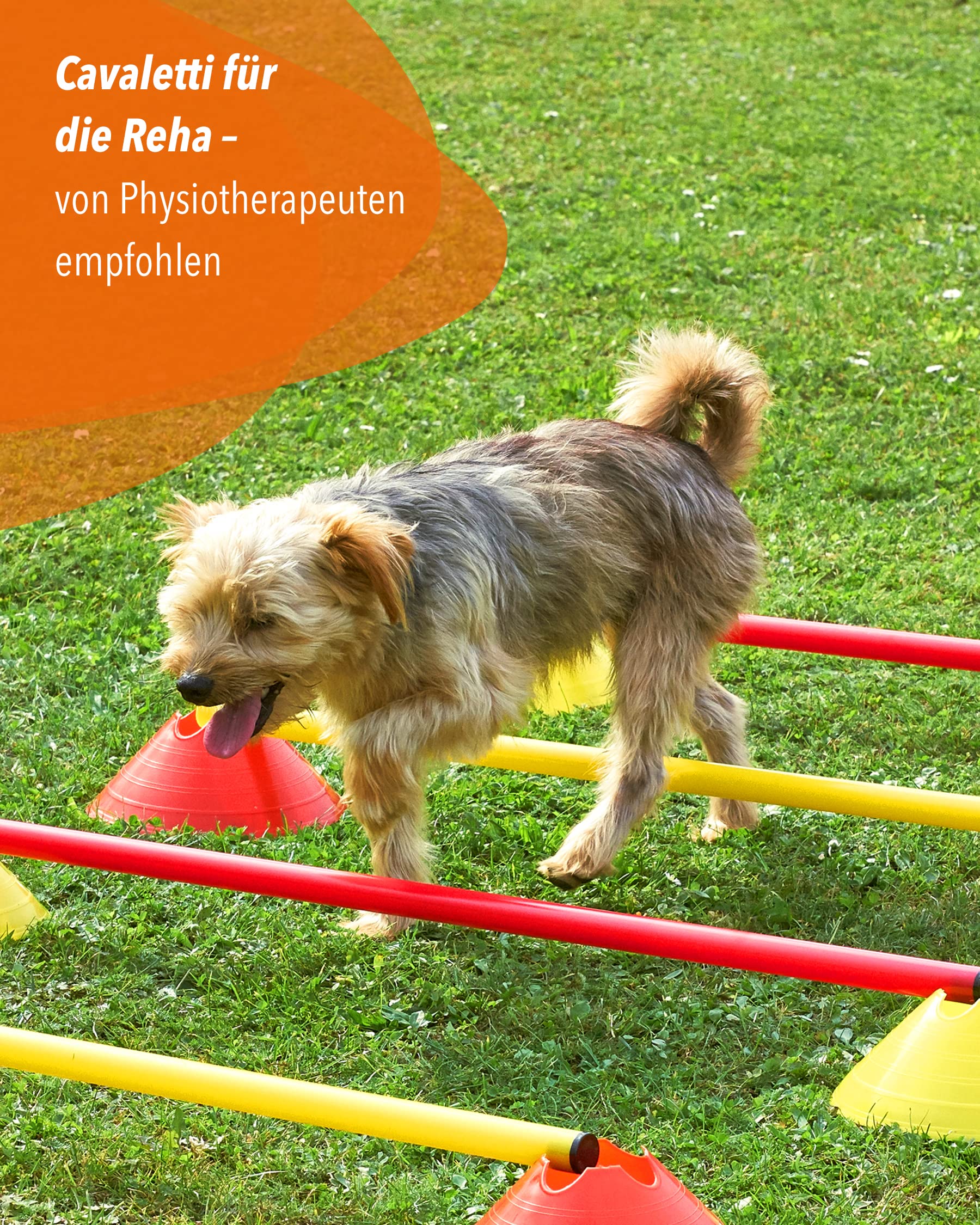 Cavaletti Mini-Hürden 10er Set – Markiermulden Rot & gelbe 50 cm Stangen – inkl. Tragetasche – sichere Trainingshürden für Hunde – Agility & Koordination