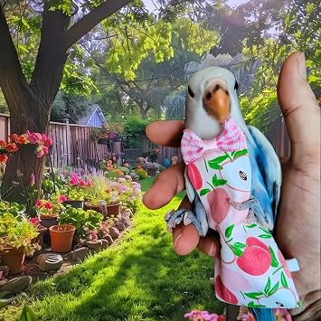 5 Pcs Bird Diapers Bird Harness Flight Suits Diapers Reusable Parrot Nappy with Waterproof Inner Layer Washable Cute Urine Wet Suit for Cockatiel Budgie Conure Macaw Parakeet Lovebird,M