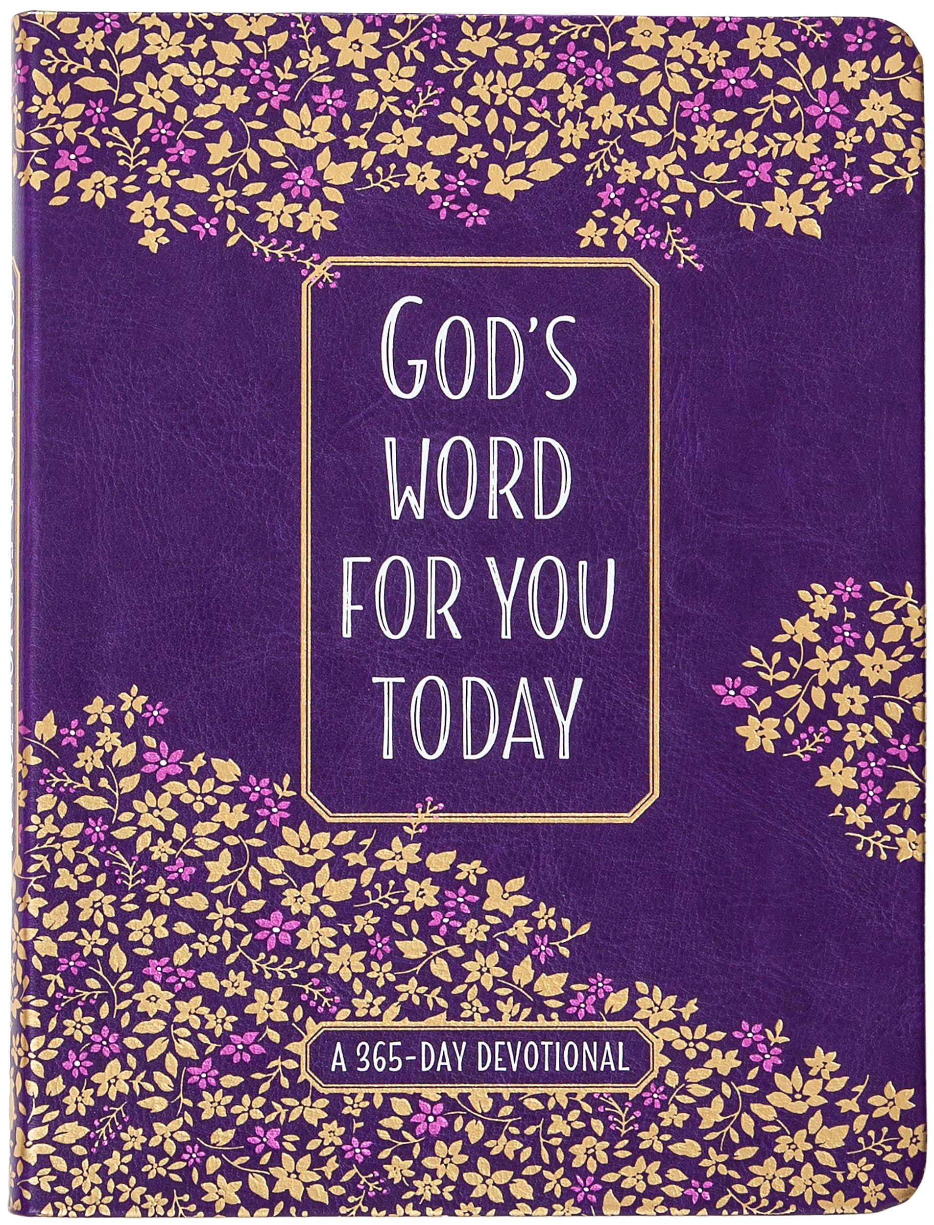 God's Word for You Today: A 365-Day Devotional