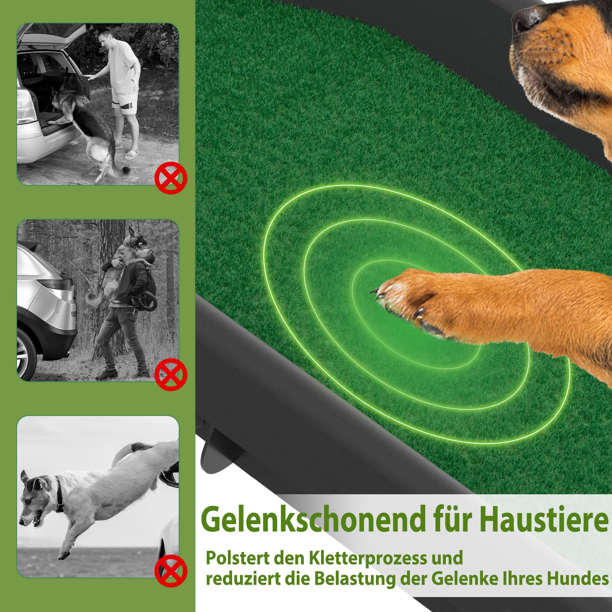 YRHome Hunderampe Auto klappbar 156 x 40cm Kunststoff Anti-Rutsch Autorampe Kofferraumrampe für Haustiere Hunde-Rampe Hundetreppe Einstiegshilfe für Kofferraum Robust bis 90 kg Grün