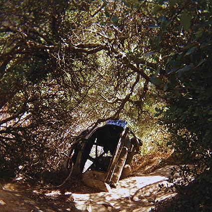 Buy Ty Segall / Possession New or Used via Amazon