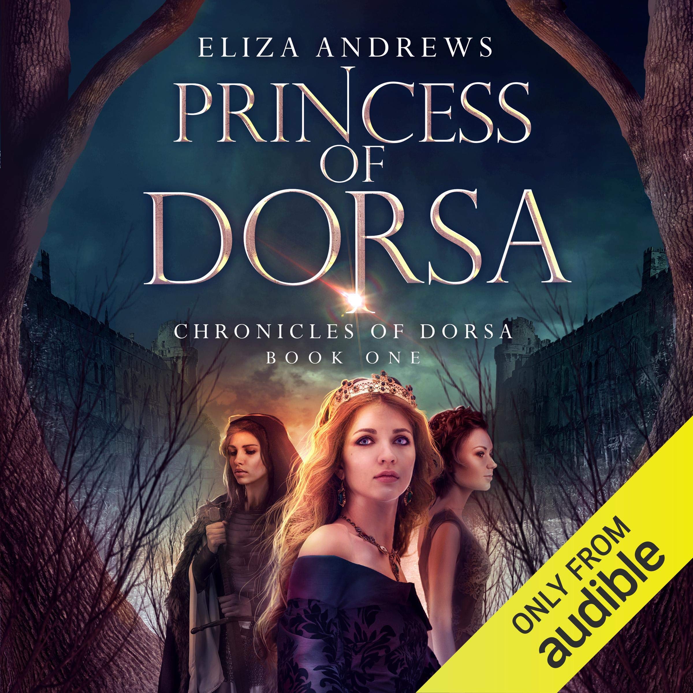 Cover art for Princess of Dorsa