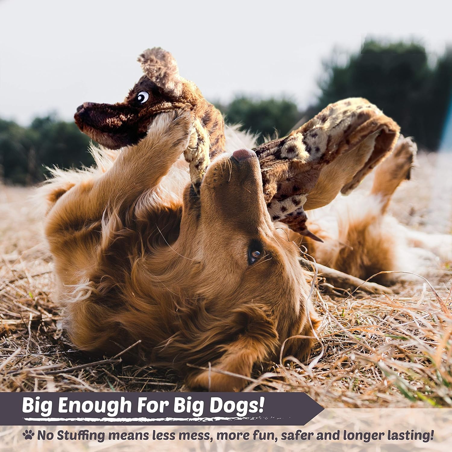 Dog Squeaky Toys - No Stuffing Dog Toys Set - No Dangerous Fluff to Chew or Swallow - 2 Squeakers - Big Plush Dog Toys for Small Dogs and Large Dogs Alike - Bulk Bundle - Pack of 5