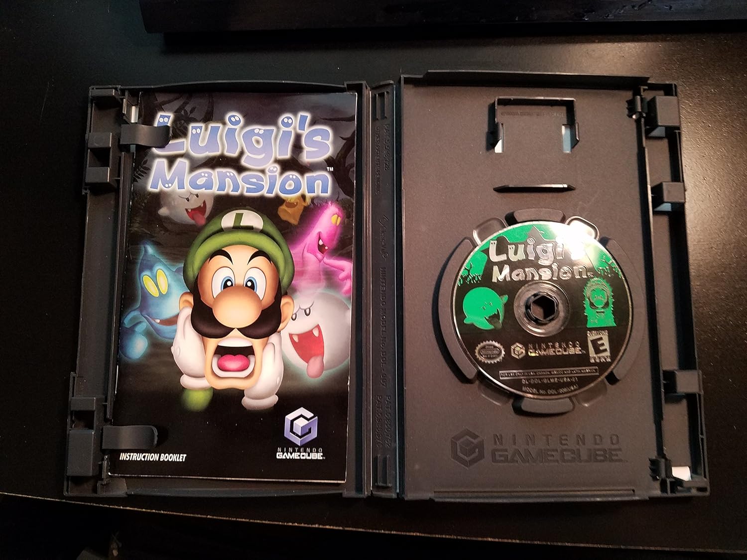 Luigi's Mansion (Renewed)