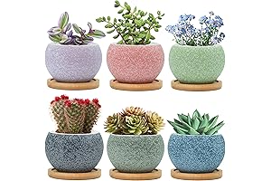3" Ceramic Pots for Plants, Small Succulent Pots Set for Indoor Plants with Drainage