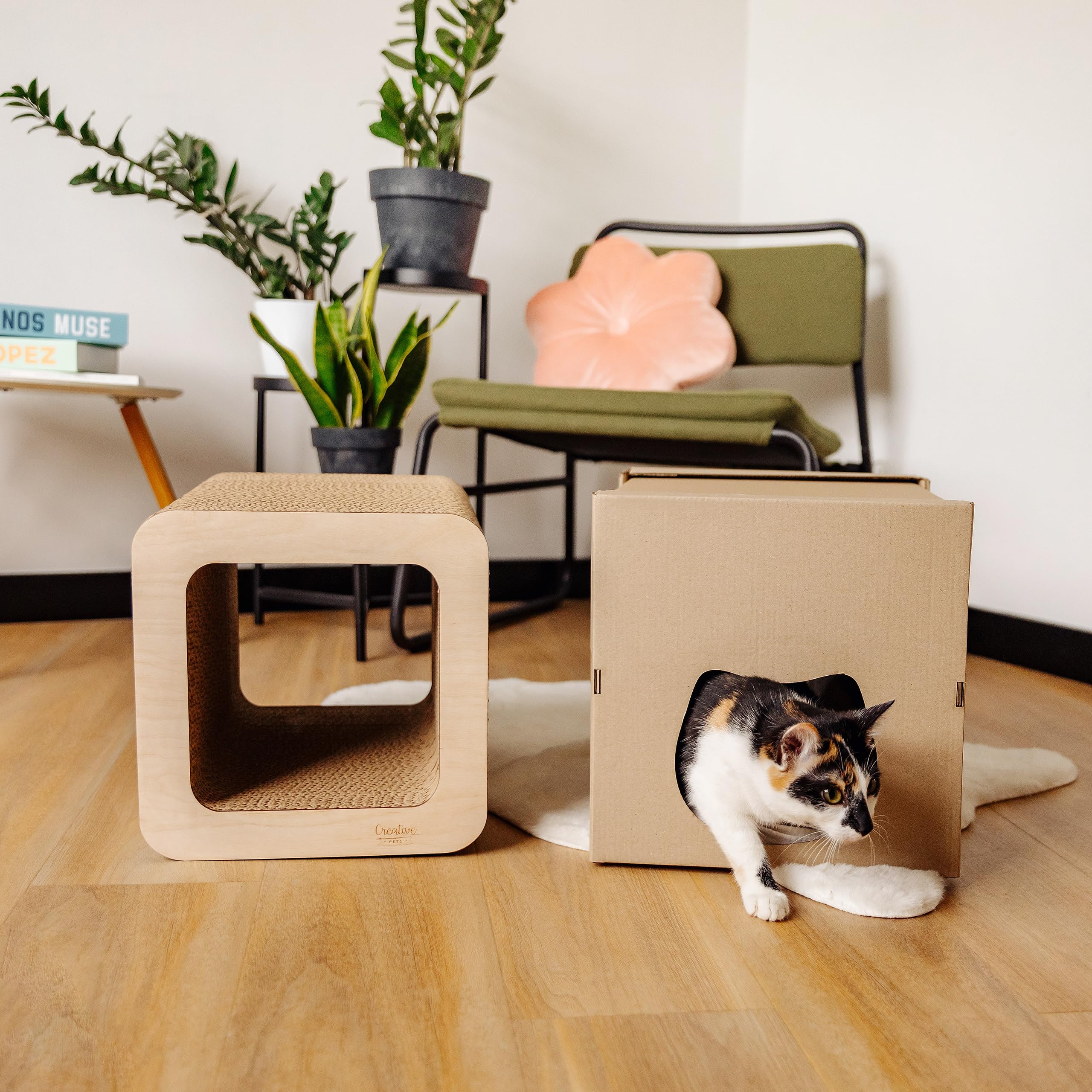 Griffoir pour Chat 37 x 30 x 30 cm + Maison en Carton | Grattoir Chat Renforcé avec du Contreplaqué | Grand Carton à Gratter pour Chats | Protège Vos Meubles