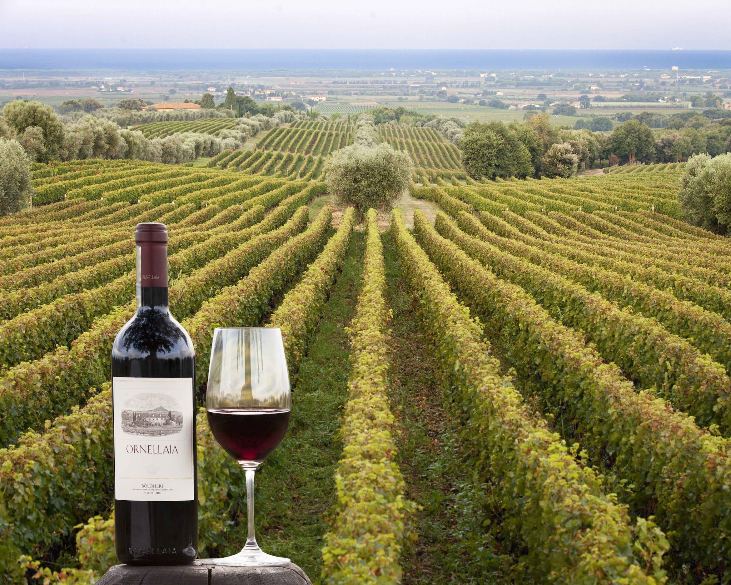 Ornellaia La Proporzione Bolgheri DOC Superiore Rosso 2020 (0.75 l)