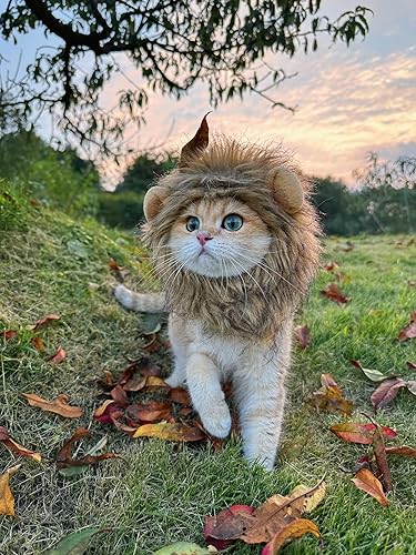 Lion Mane Wig for Dog and Cat Costume Pet Adjustable Washable Comfortable Fancy Lion Hair Cat Clothes Dress for Halloween Christmas Easter Festival Party