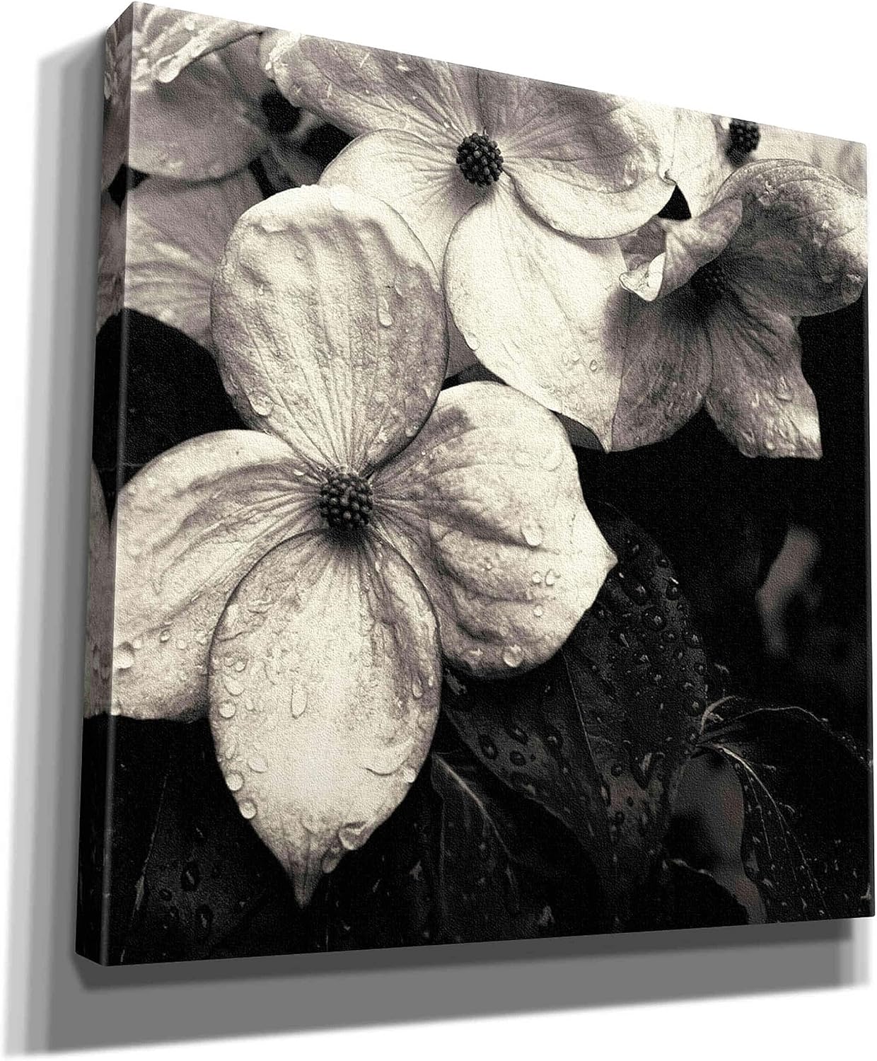 Epic Graffiti 'Dogwood Flower No. 3' by Gary Horsfall, Giclee Canvas Wall Art, 18"x18"
